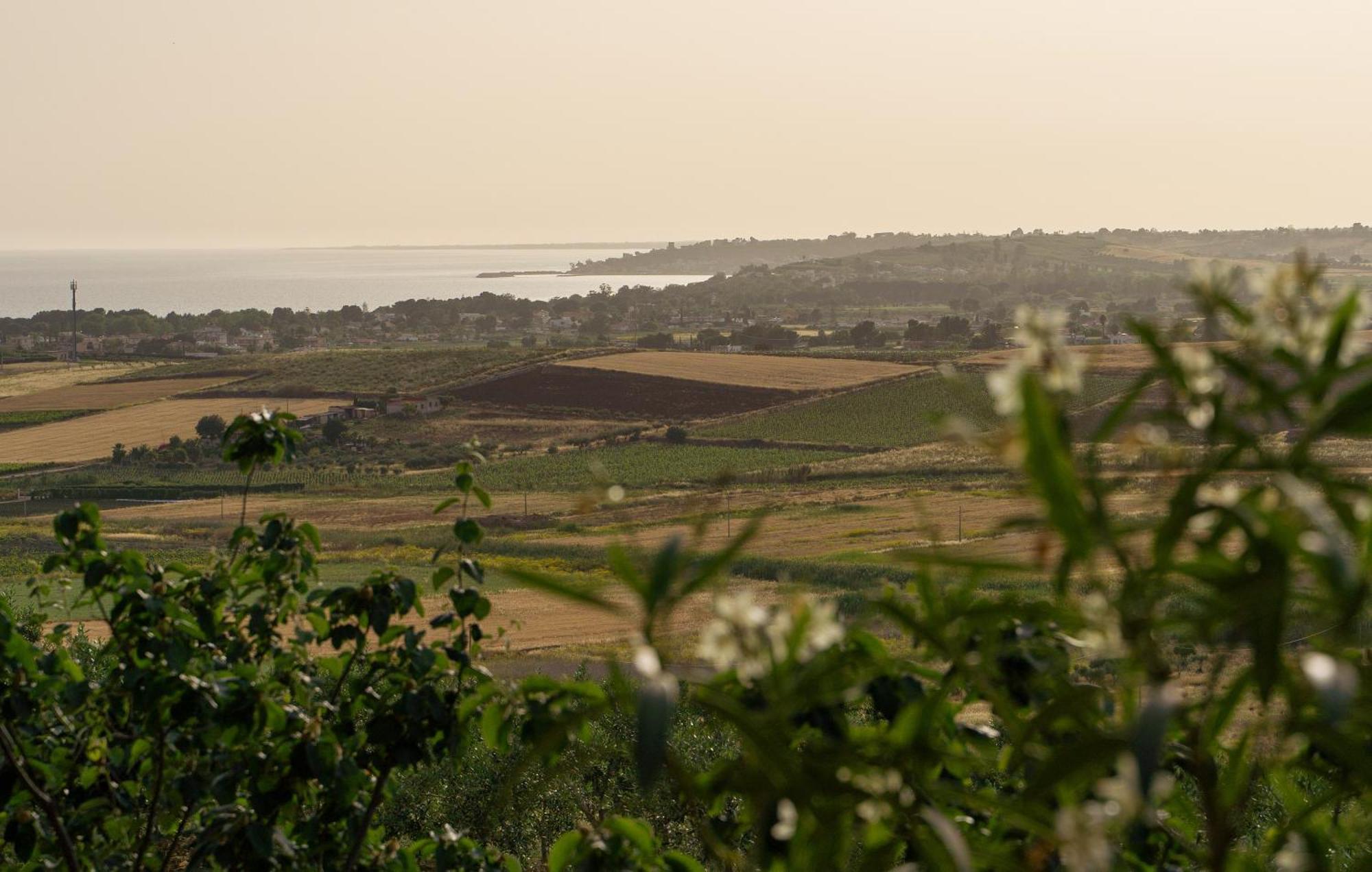 Casa Panoramica Tra Mare E Natura เมนฟี ภายนอก รูปภาพ